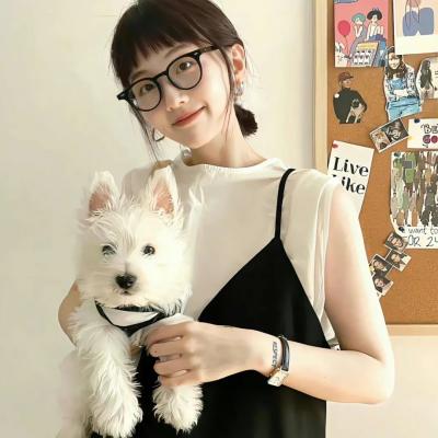 飞一般爱情小说